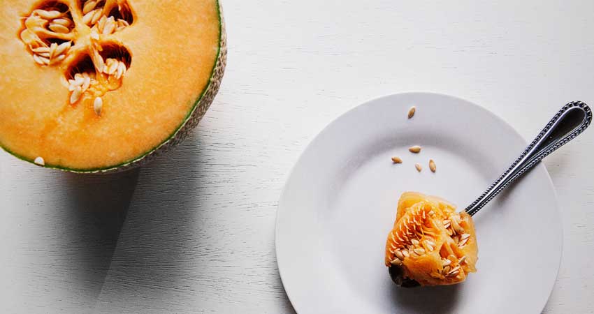 Cantaloupe Cantaloupe