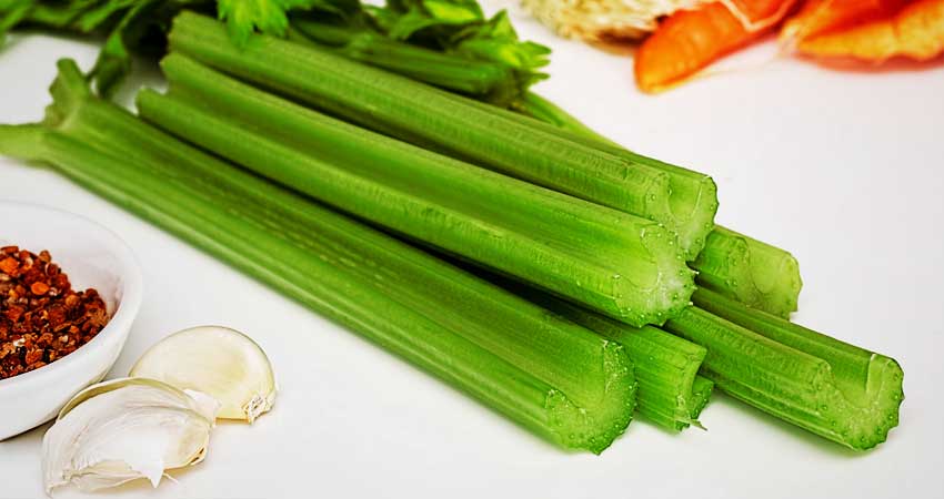 Celery Celery