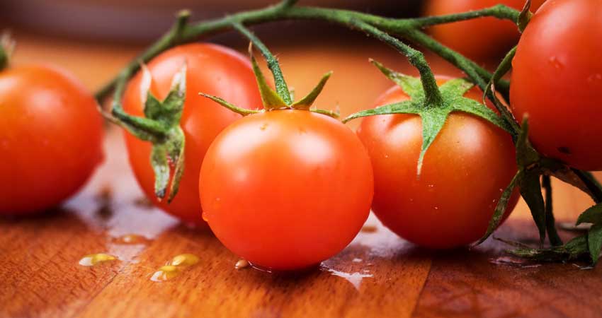 tomato tomato