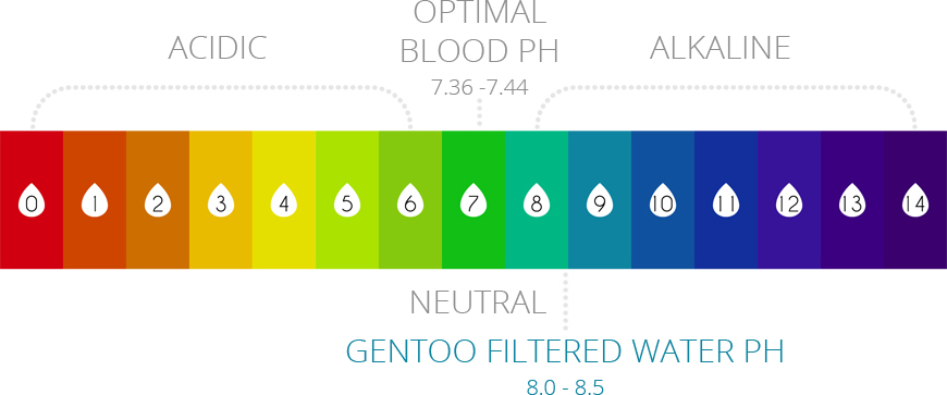 acidic vs alkaline ph-chart