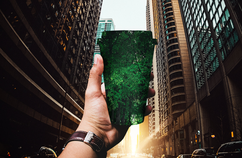 10 No-Fuss Ways to Figuring Out Your Plastic Free Month