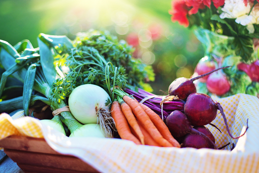What is the Alkaline Diet?