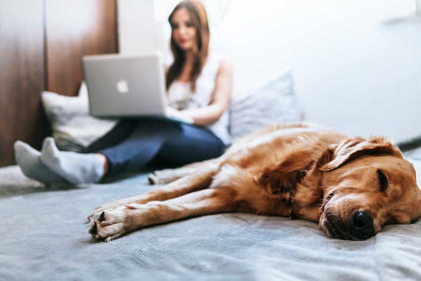 Top 3 Ways to Stay Healthy at Home